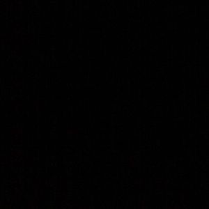 Meet your Posher, Lola